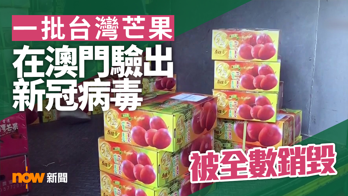 一批台灣芒果在澳門驗出新冠病毒被全數銷毀