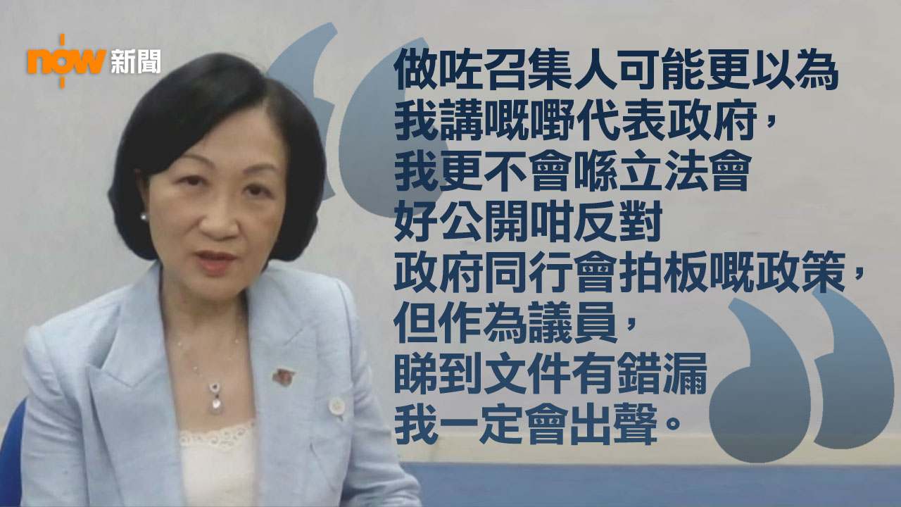 葉劉淑儀：免影響局長工作　不認為要向行會成員賦予行政權力 