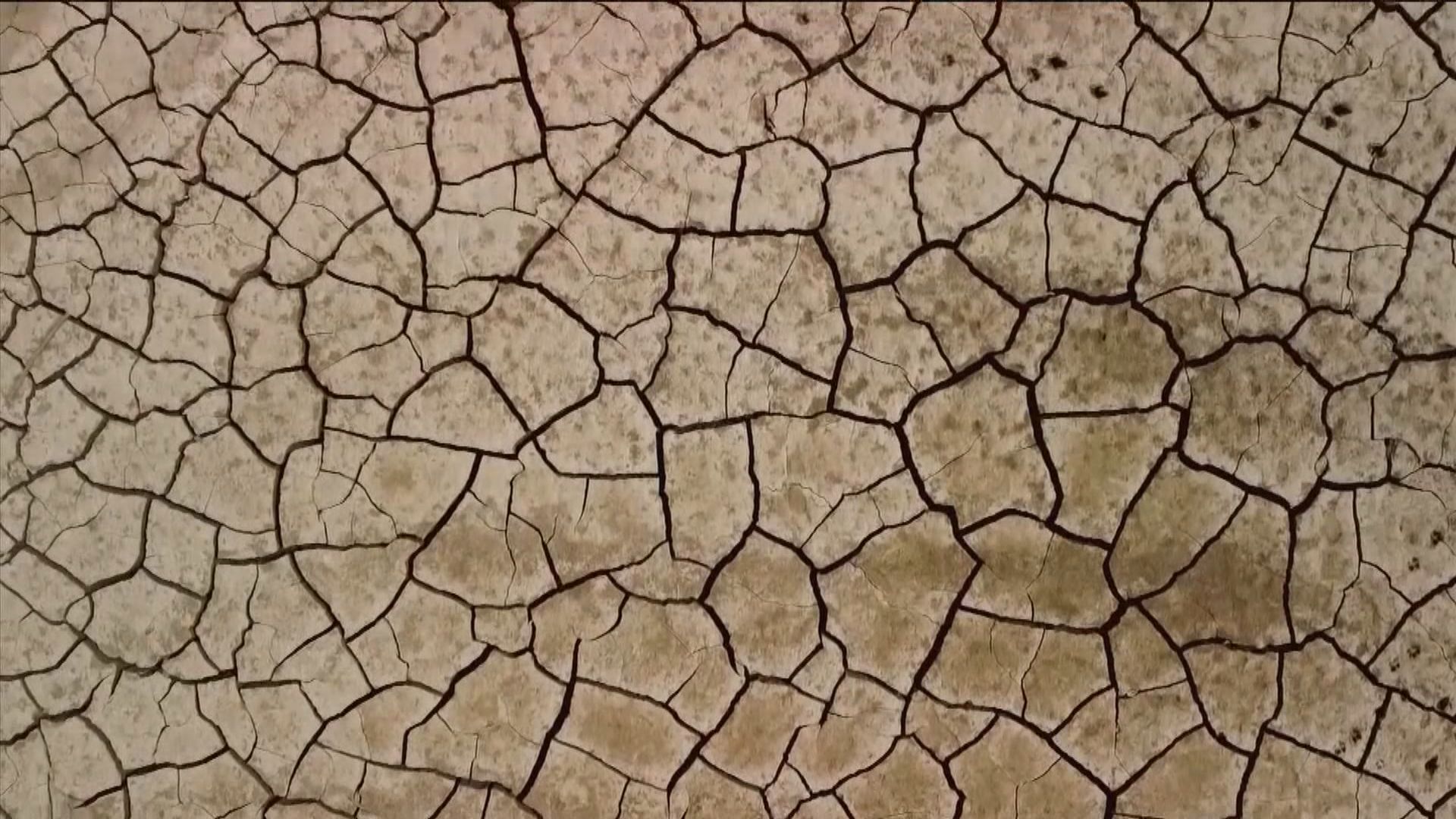 歐盟報告指逾六成土地處於乾旱狀態　旱情為500年一遇