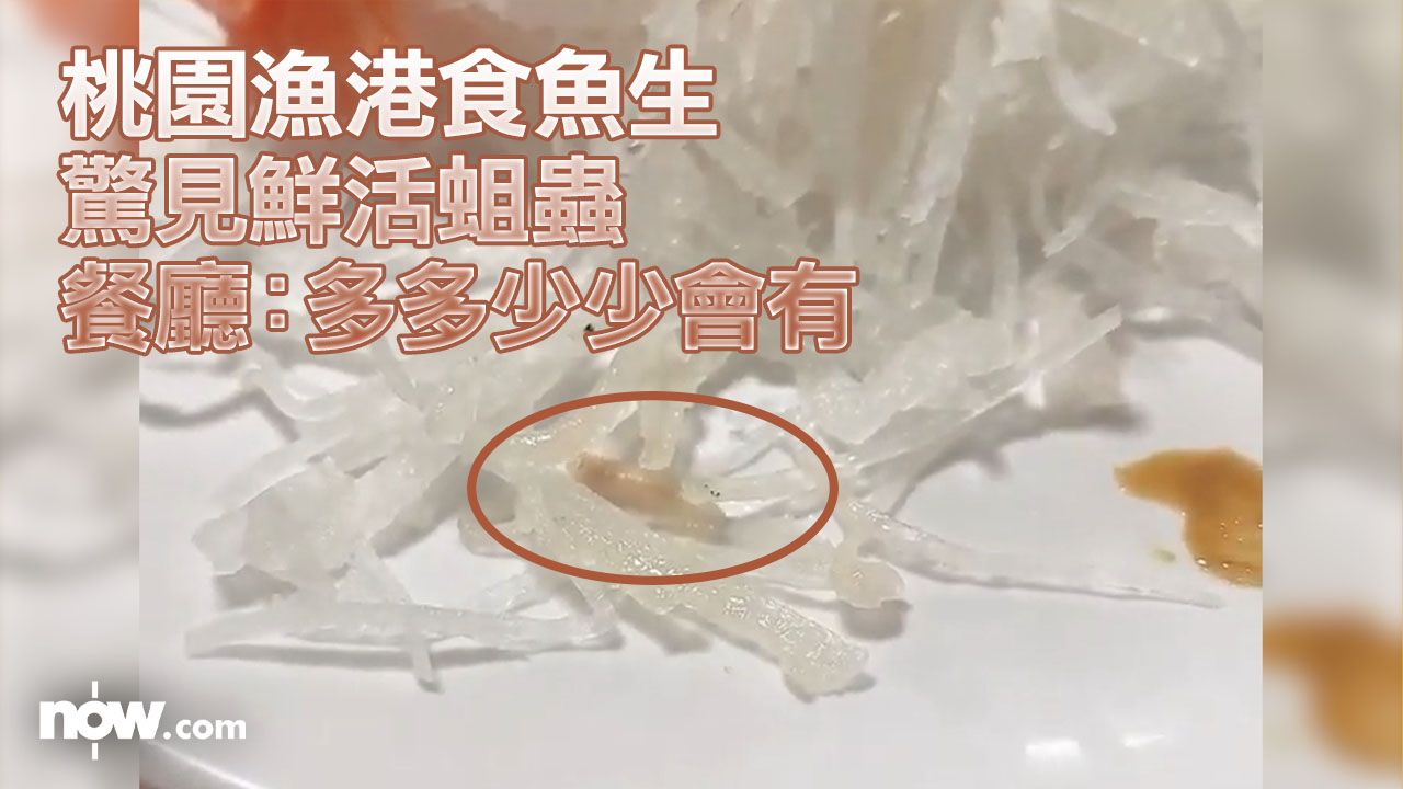 【有片】台灣桃園漁港食魚生驚見鮮活蛆蟲　餐廳：多多少少會有