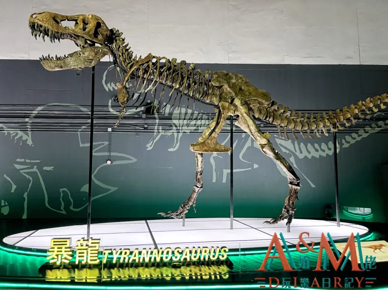 〈好遊〉【恐龍迷最後召集】香港科學館八大尋龍記 必睇恐龍化石及預約情報
