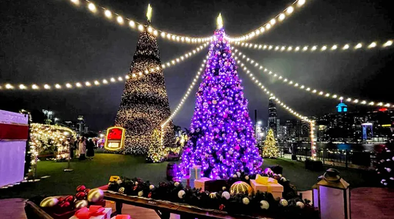 〈好遊〉維港聖誕燈飾船河遊 天星海港遊