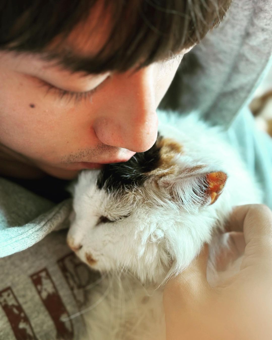 20歲愛貓花花離世　AK深情長文：「謝謝你教懂我如何去愛」