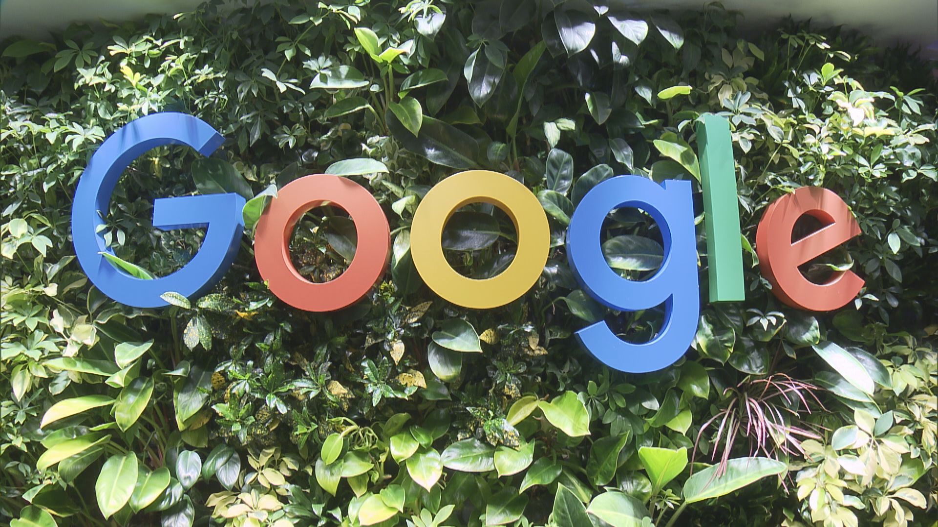 【用得唔好嘥】Google延長伺服器用足6年　料今年可慳34億美元