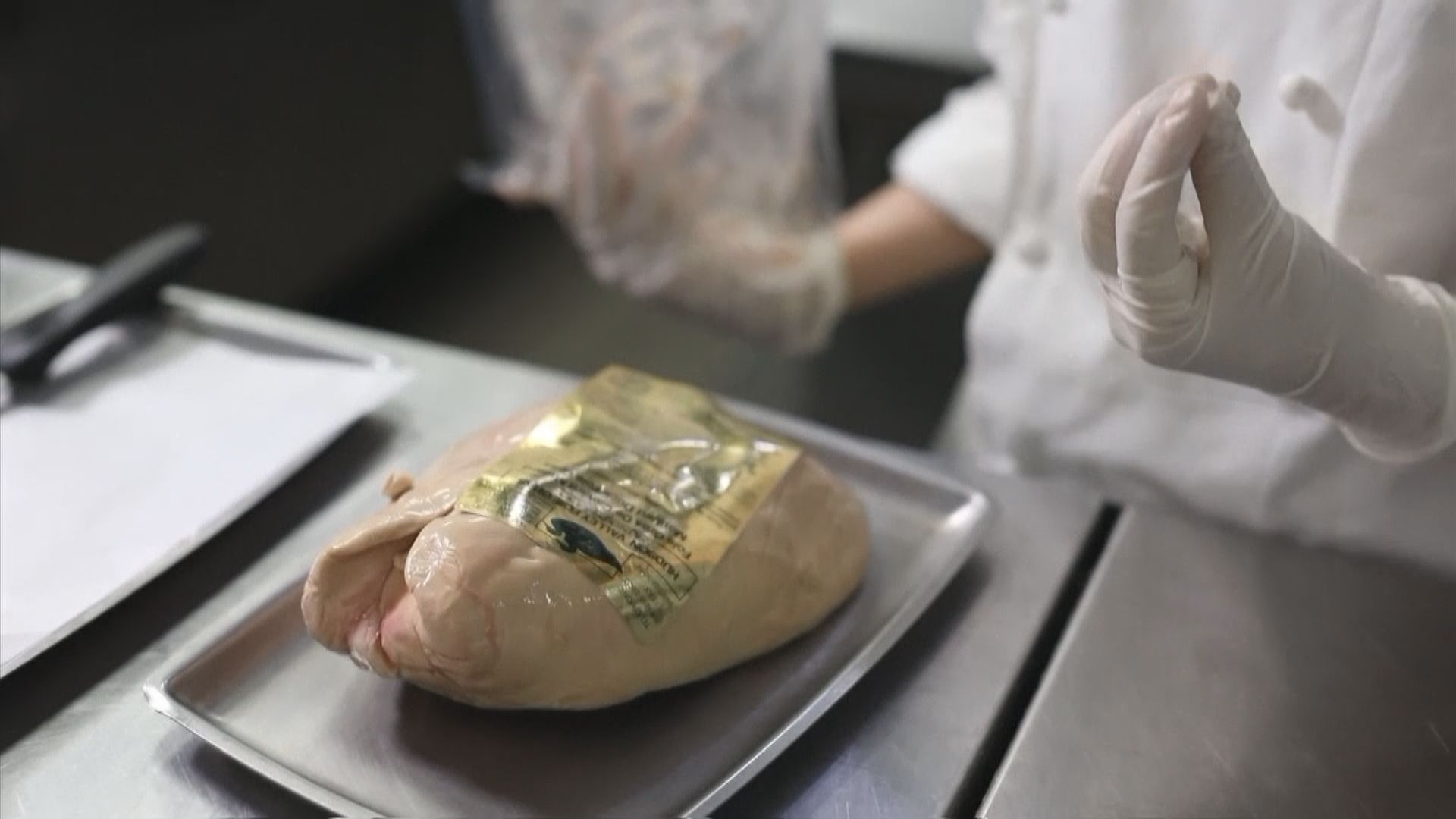 日本成功用鴨肝細胞培植「人造鵝肝」