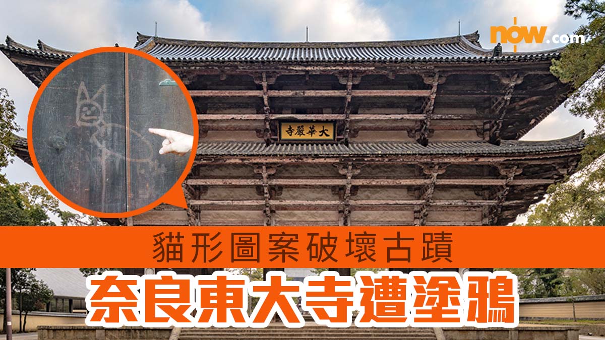 奈良東大寺遭塗鴉 貓形圖案破壞古蹟