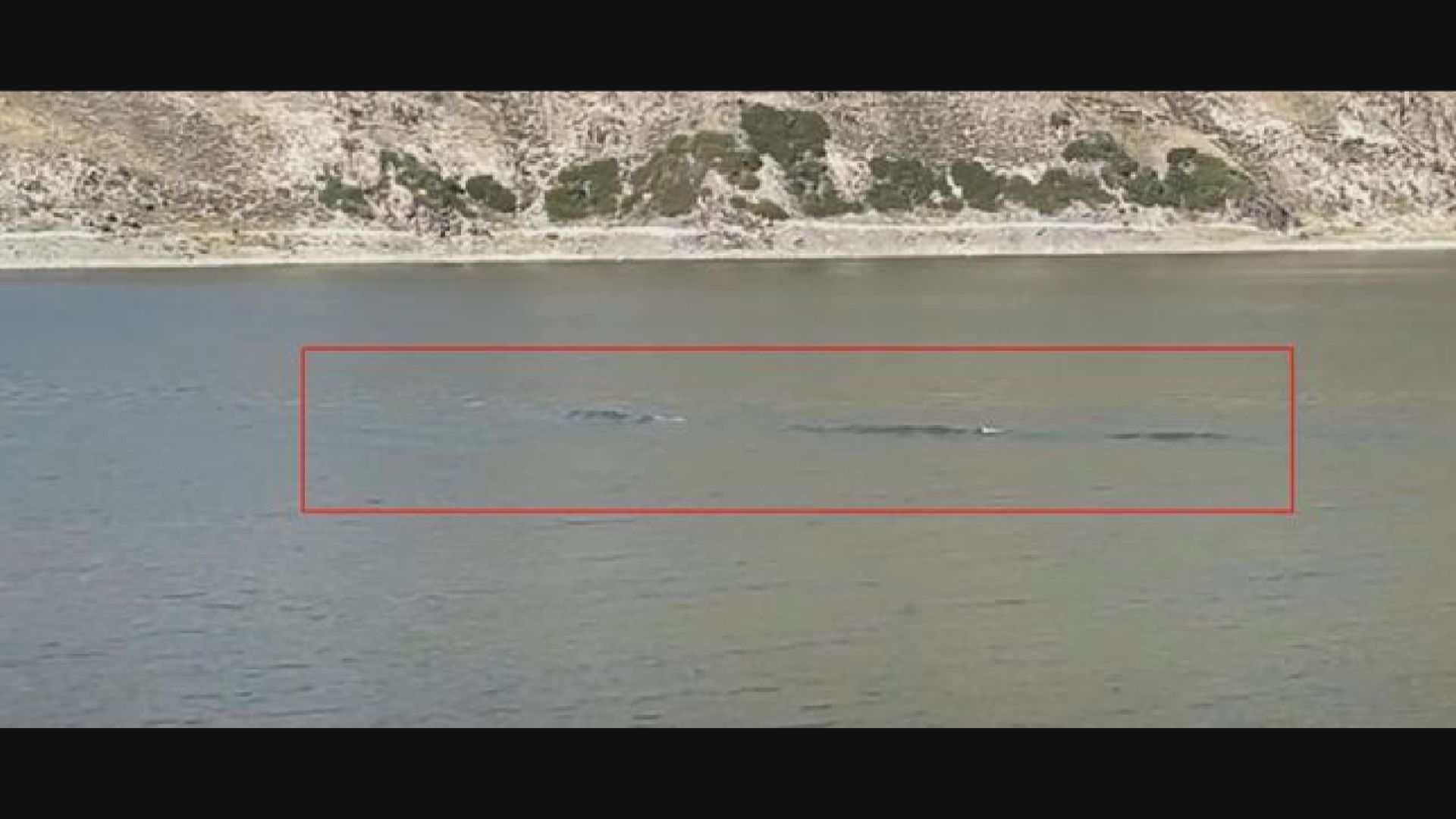 影/銀色「水怪」現身新疆天山天池？長約15公尺水中快速前進 | 中天新聞網
