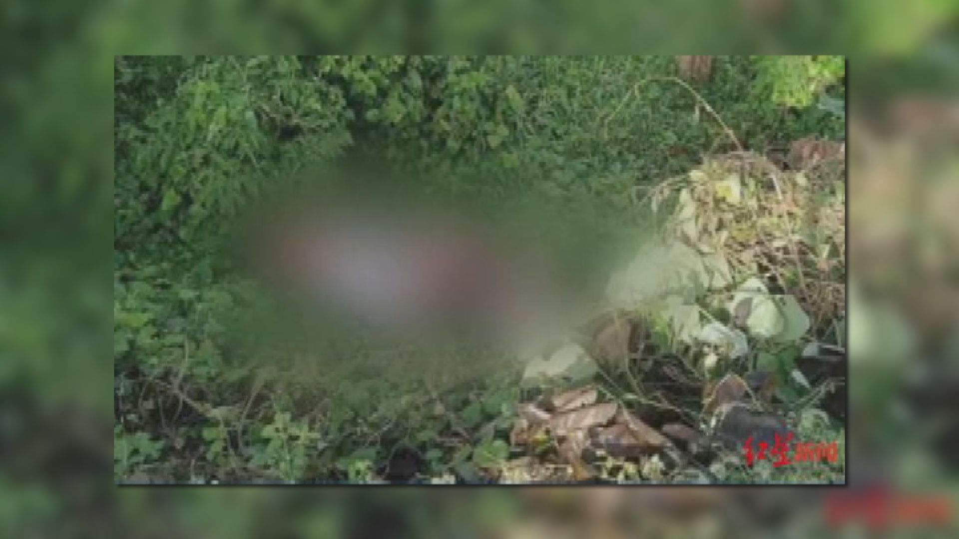 菲律賓內湖灣區發現六具遺體 正確認是否被綁架中國人