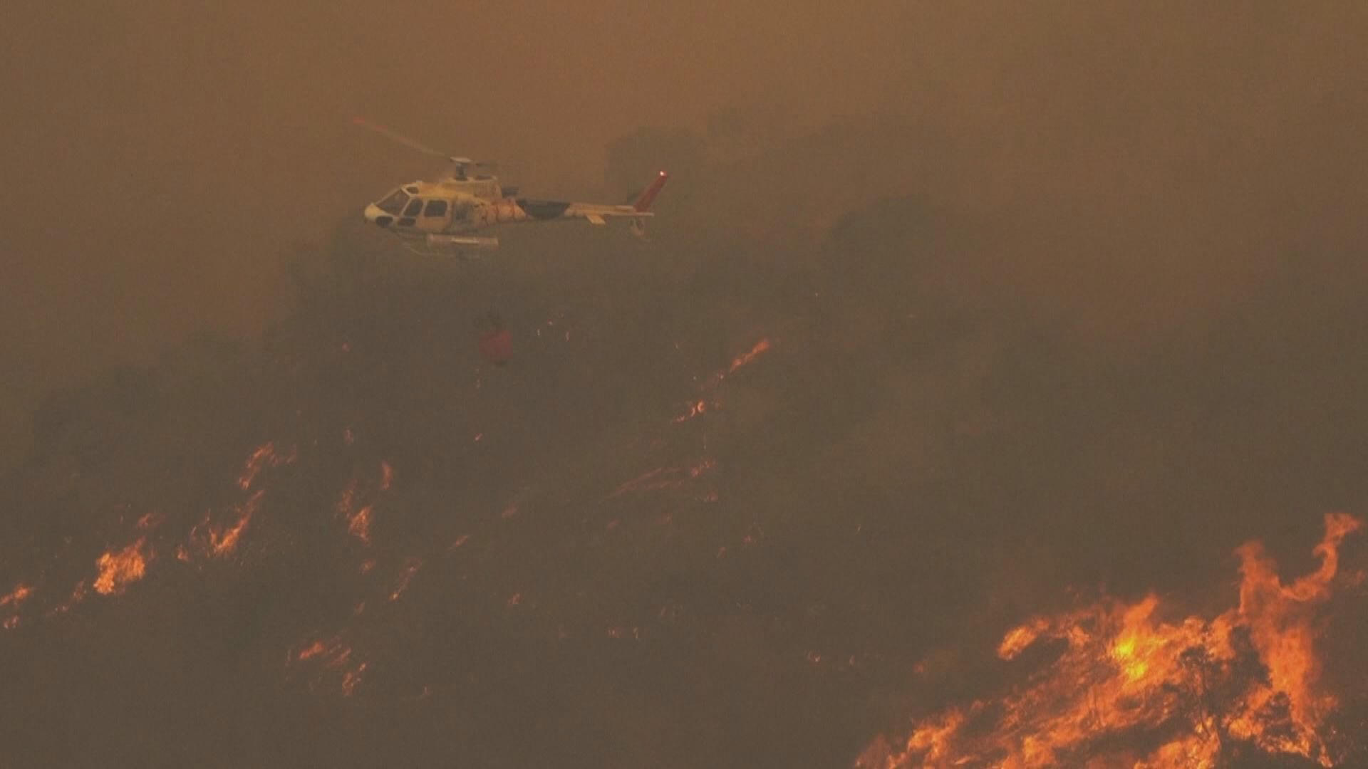 智利中部山林大火增至46人死亡 初步不排除有人蓄意縱火