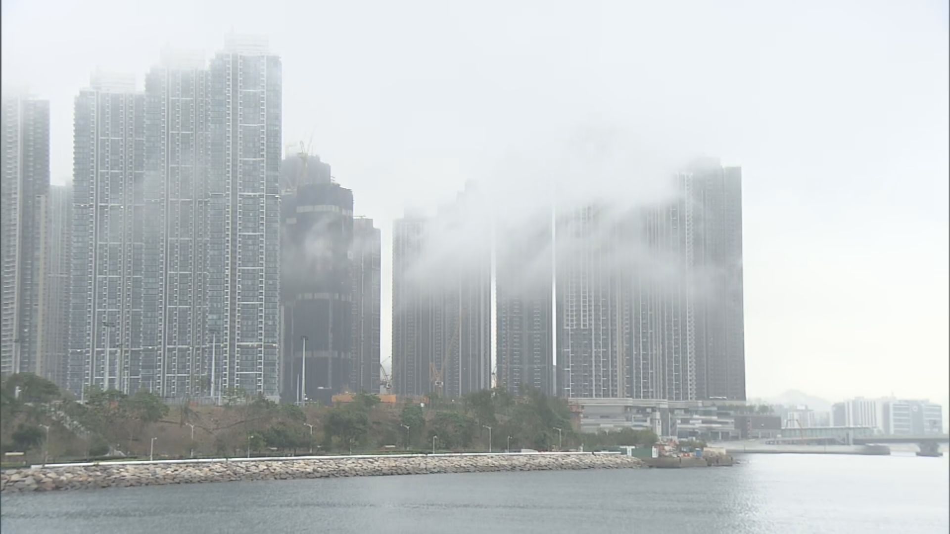 本港早上潮濕有霧 能見度一度降至500米以下