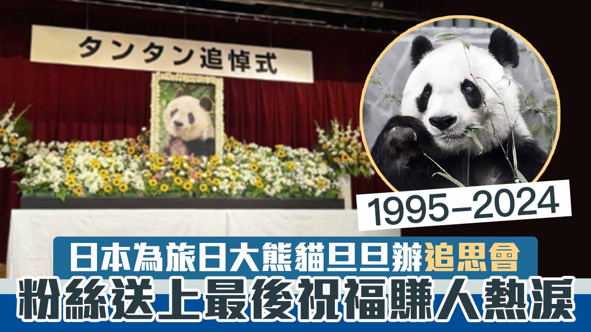 日本為旅日大熊貓旦旦辦追思會　粉絲送上最後祝福賺人熱淚