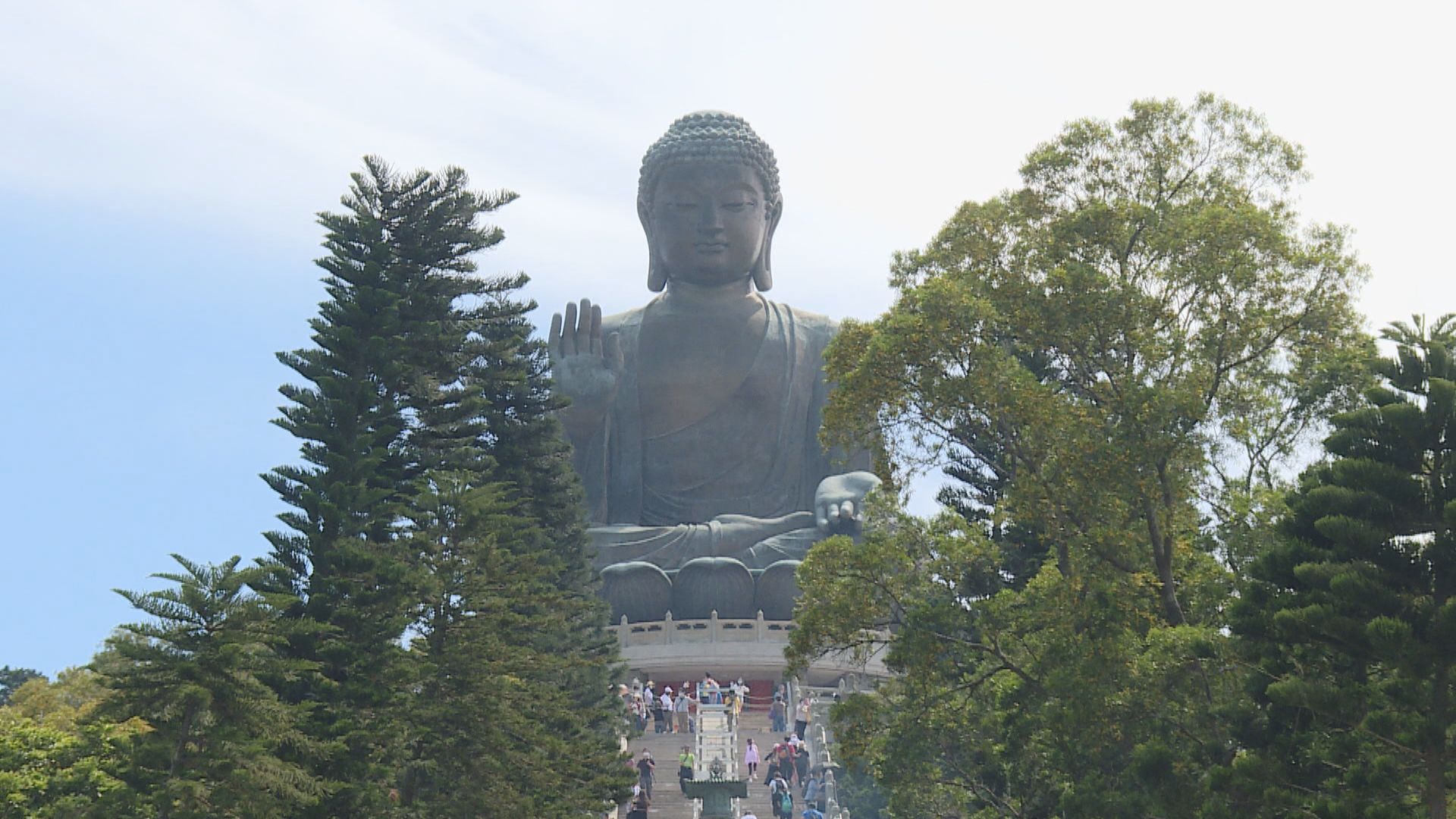 寶蓮禪寺員工疑遺棄兩狗　兩廚師被捕