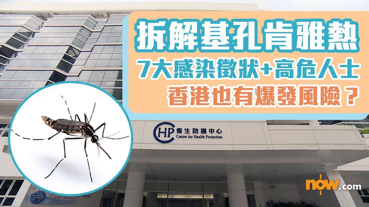 傳染病｜拆解基孔肯雅熱　7大感染徵狀+高危人士　香港也有爆發風險？