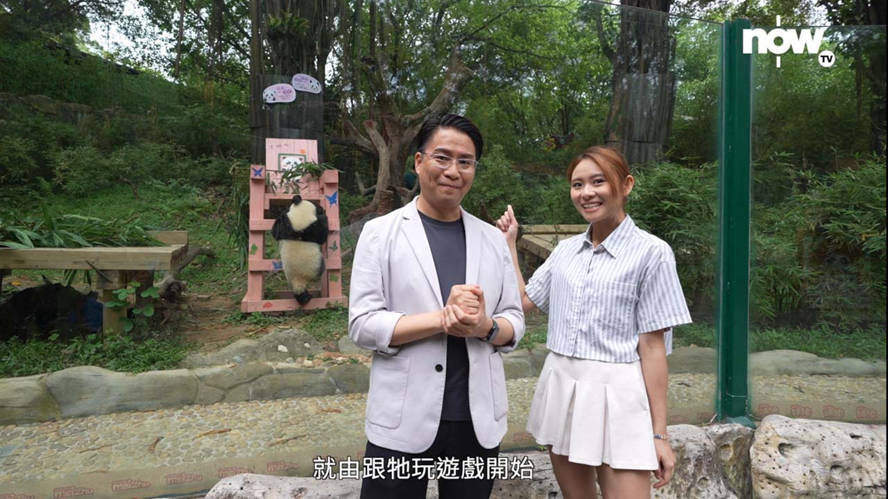 STEM Sir(鄧文瀚)與KK(關珮姿)去到廣州長隆野生動物世界,探索保育大熊貓寶寶的科學。