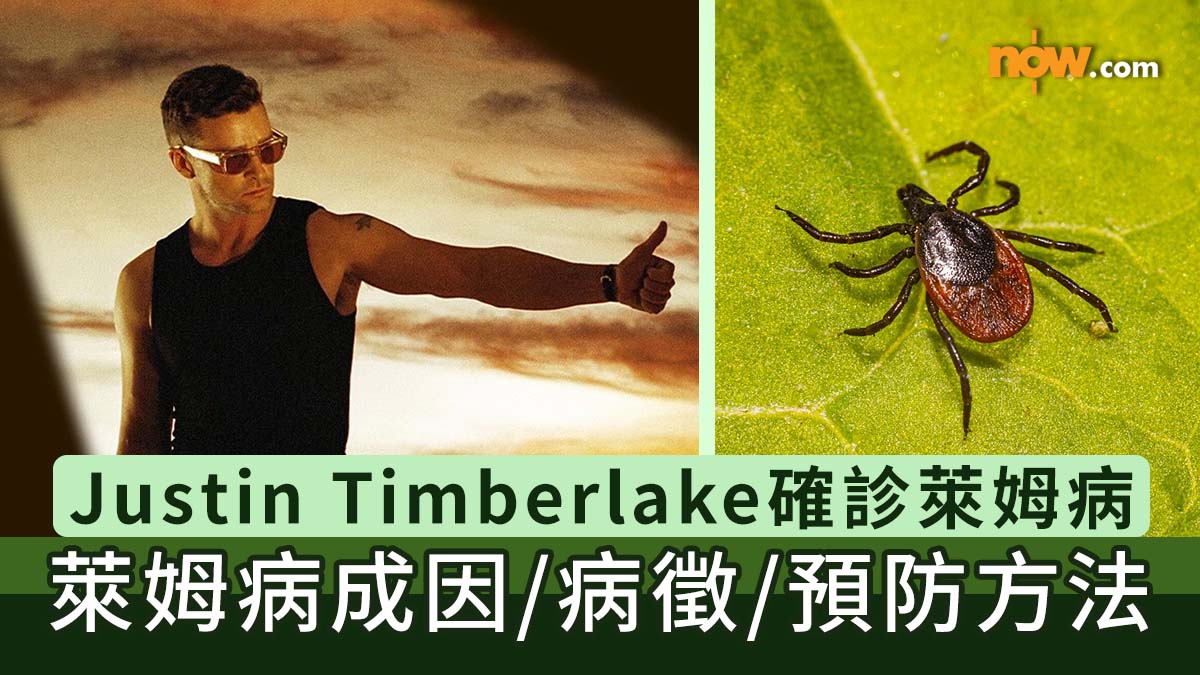 Lyme Disease｜Justin Timberlake確診萊姆病　認識萊姆病成因／病徵／預防方法