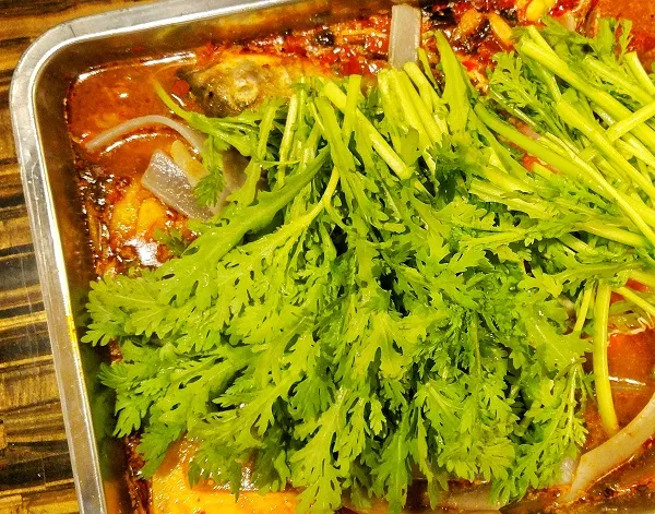 〈好食〉留給最愛的指天椒 荃灣川味雞烤魚大王
