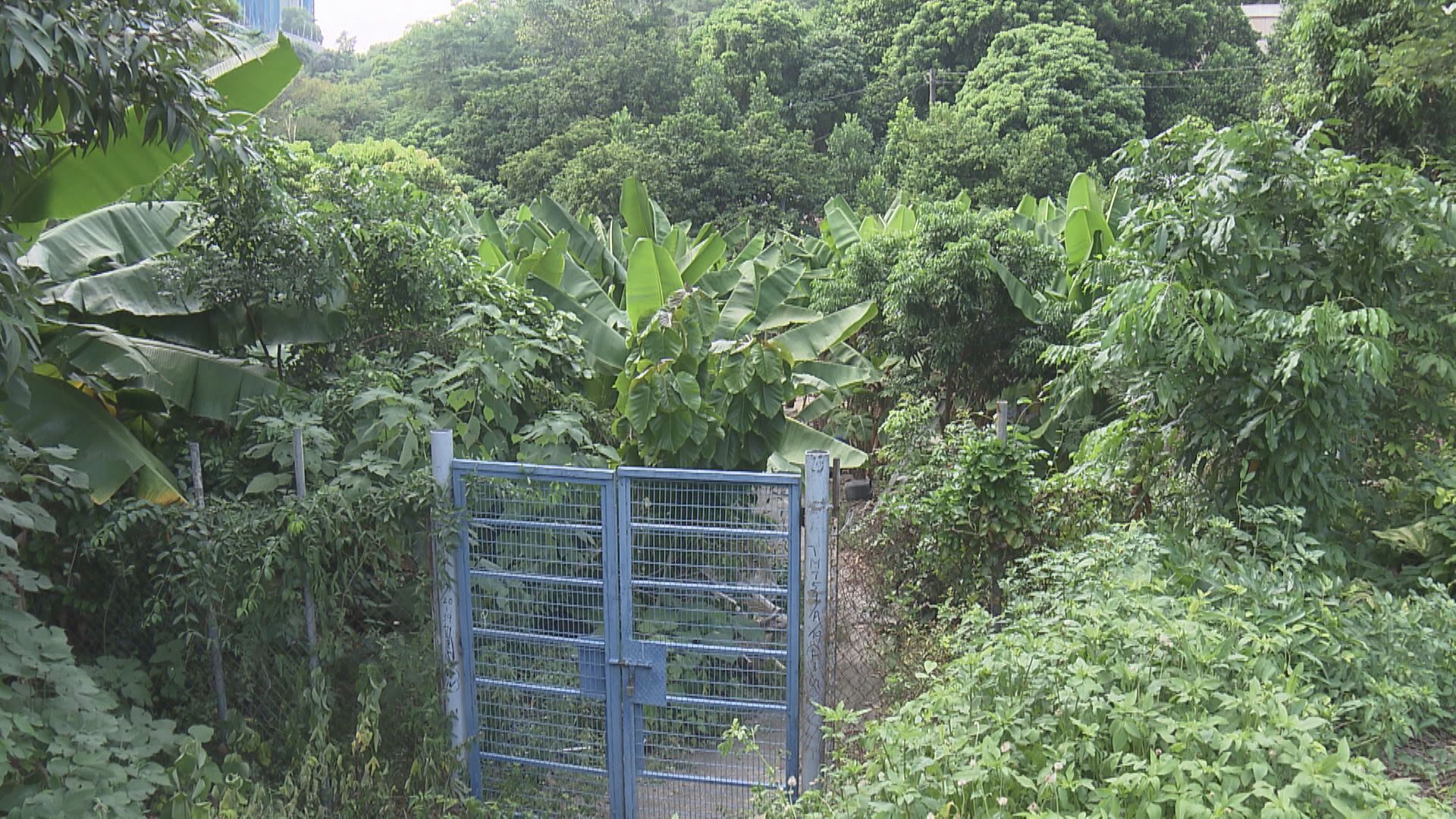 【適時重推】首幅屯門限呎住宅地流標