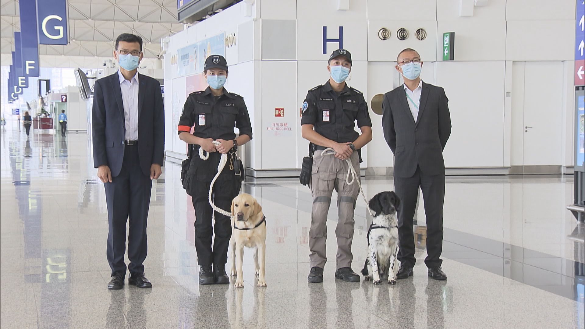 機場保安公司成立搜索犬隊應對保安風險