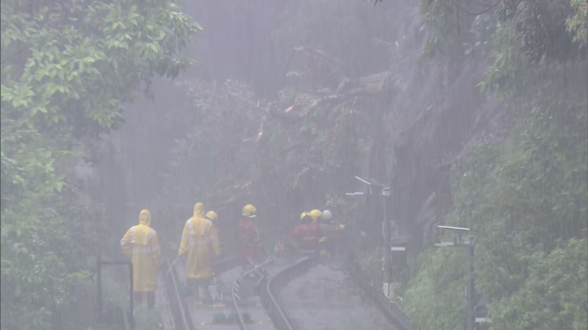 天文台黃雨前接水龍捲報告 多區塌樹山頂纜車需暫停