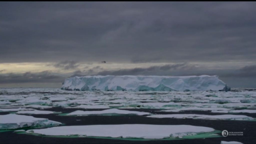 南冰洋設立全球最大海洋保護區