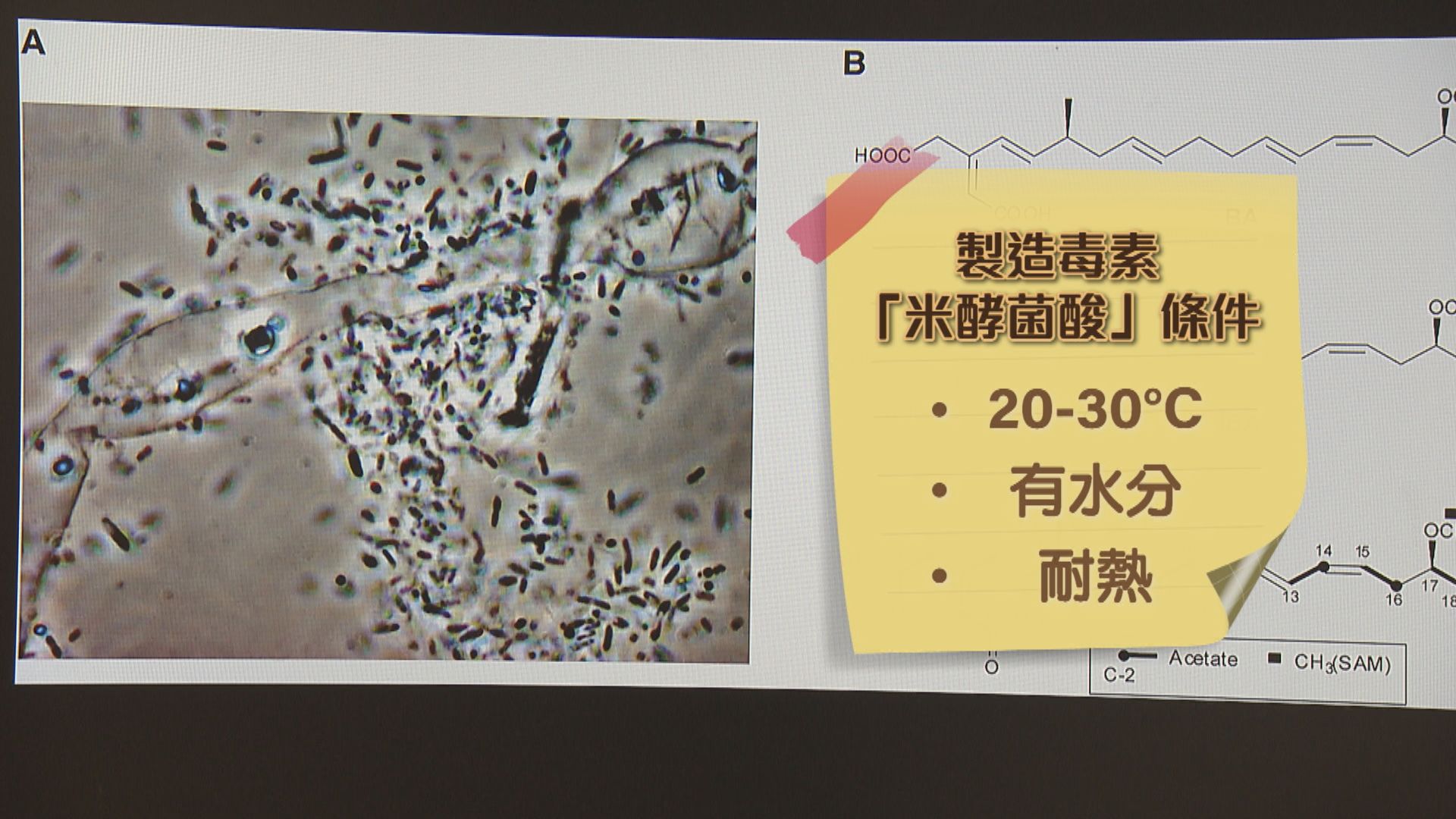 【杏林在線】煮不掉的毒素