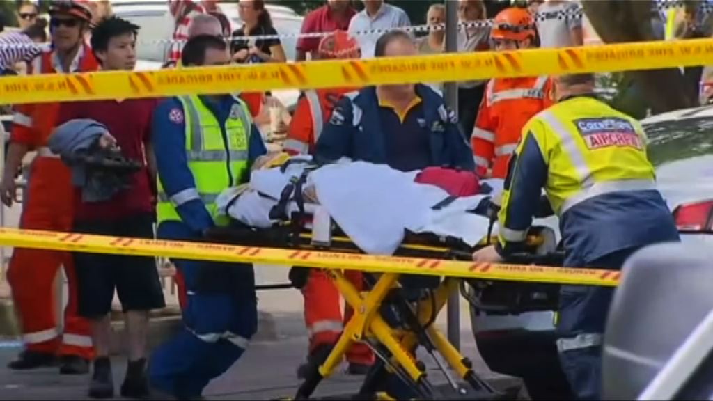悉尼市郊火車撞緩衝欄16人傷