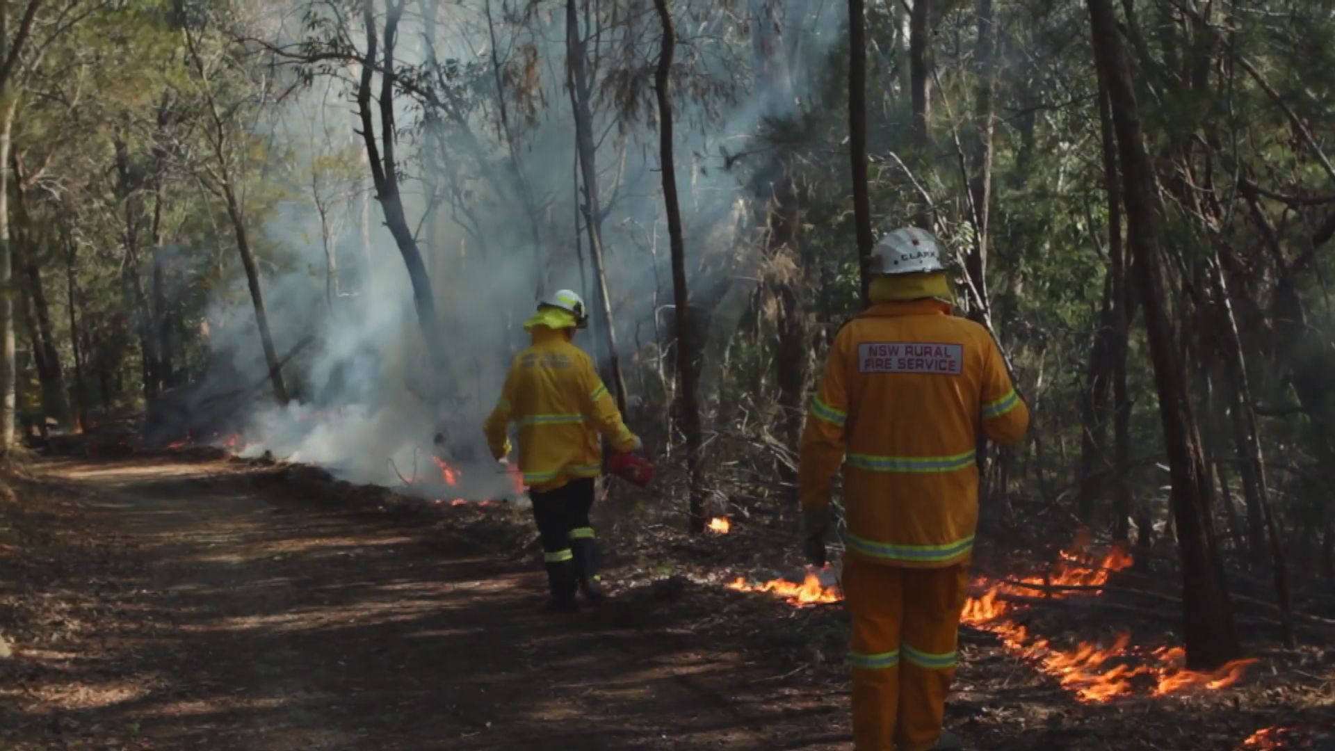 消防部門燒植被製造防火帶 悉尼空氣質素急轉差