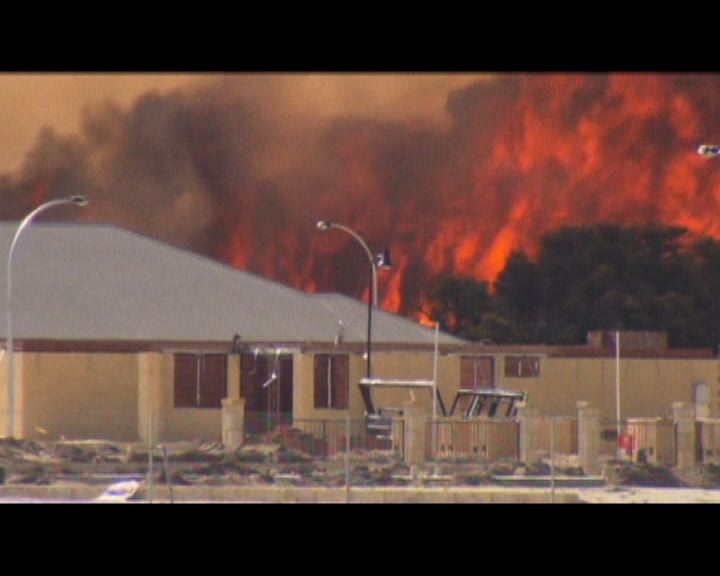 
澳洲珀斯叢林大火一度威脅民居