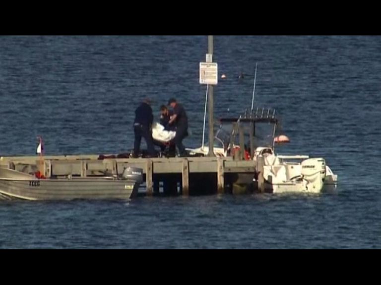 澳洲潛水客被鯊魚襲擊致命