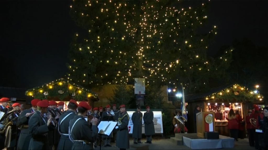 維也納聖誕市集聖誕樹亮燈