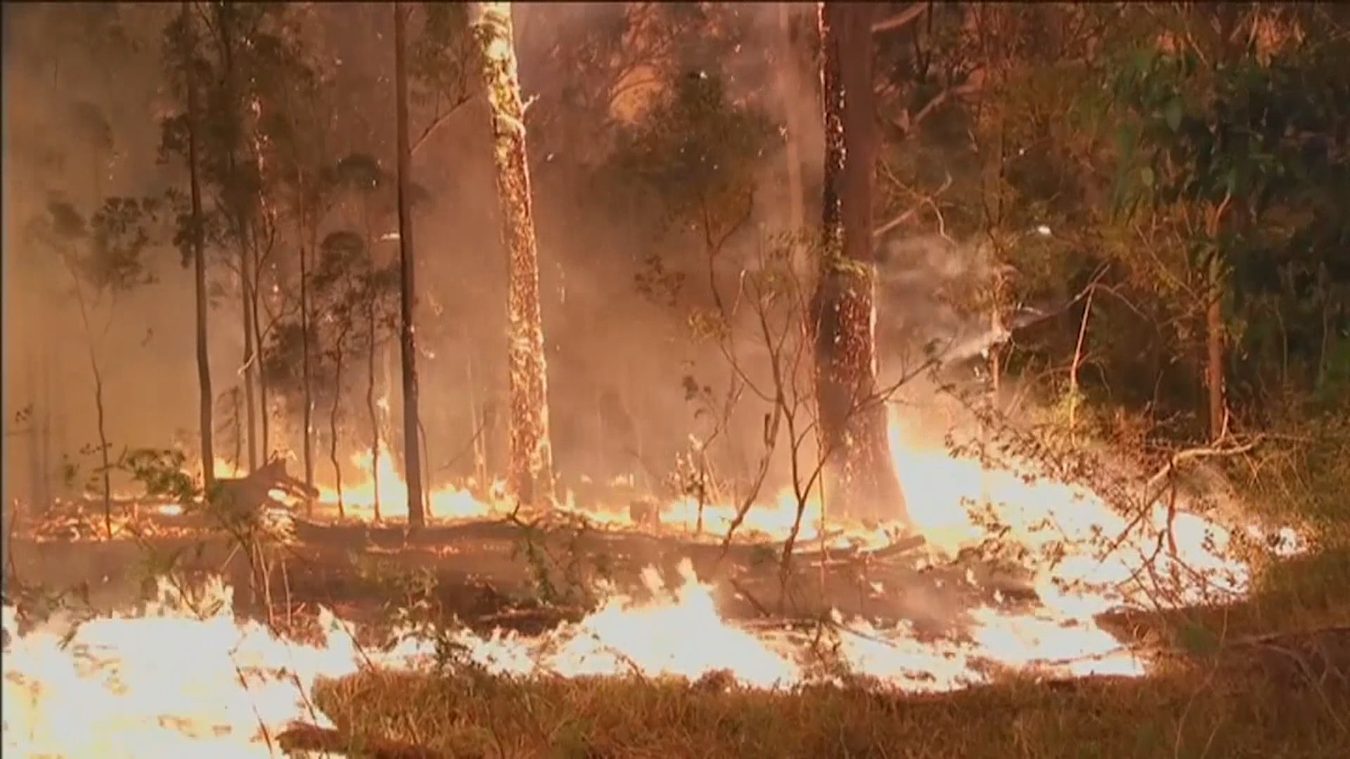 澳洲山火蔓延　部分災區居民來不及疏散