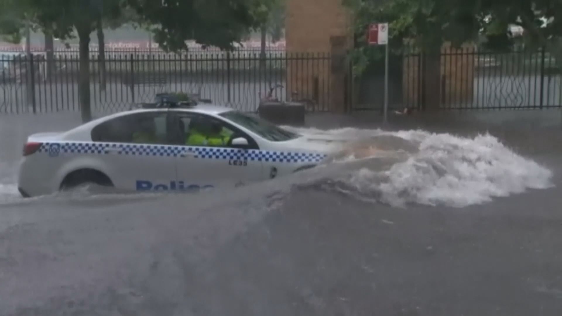 悉尼多個地區暴雨　雨量為一個月總和