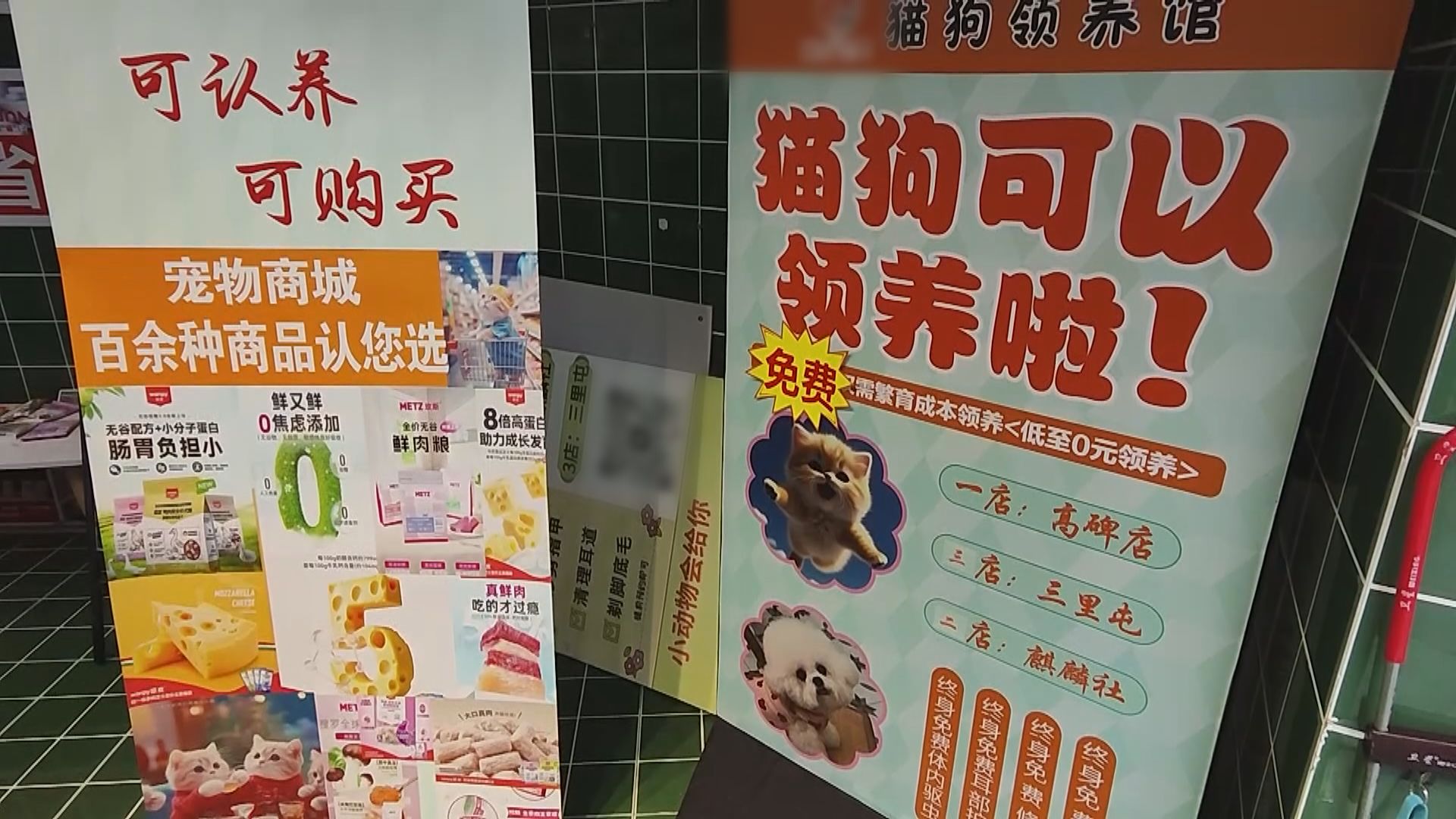 【首都專線】領養陷阱 北京有寵物店領養捆綁消費變相強迫購物 