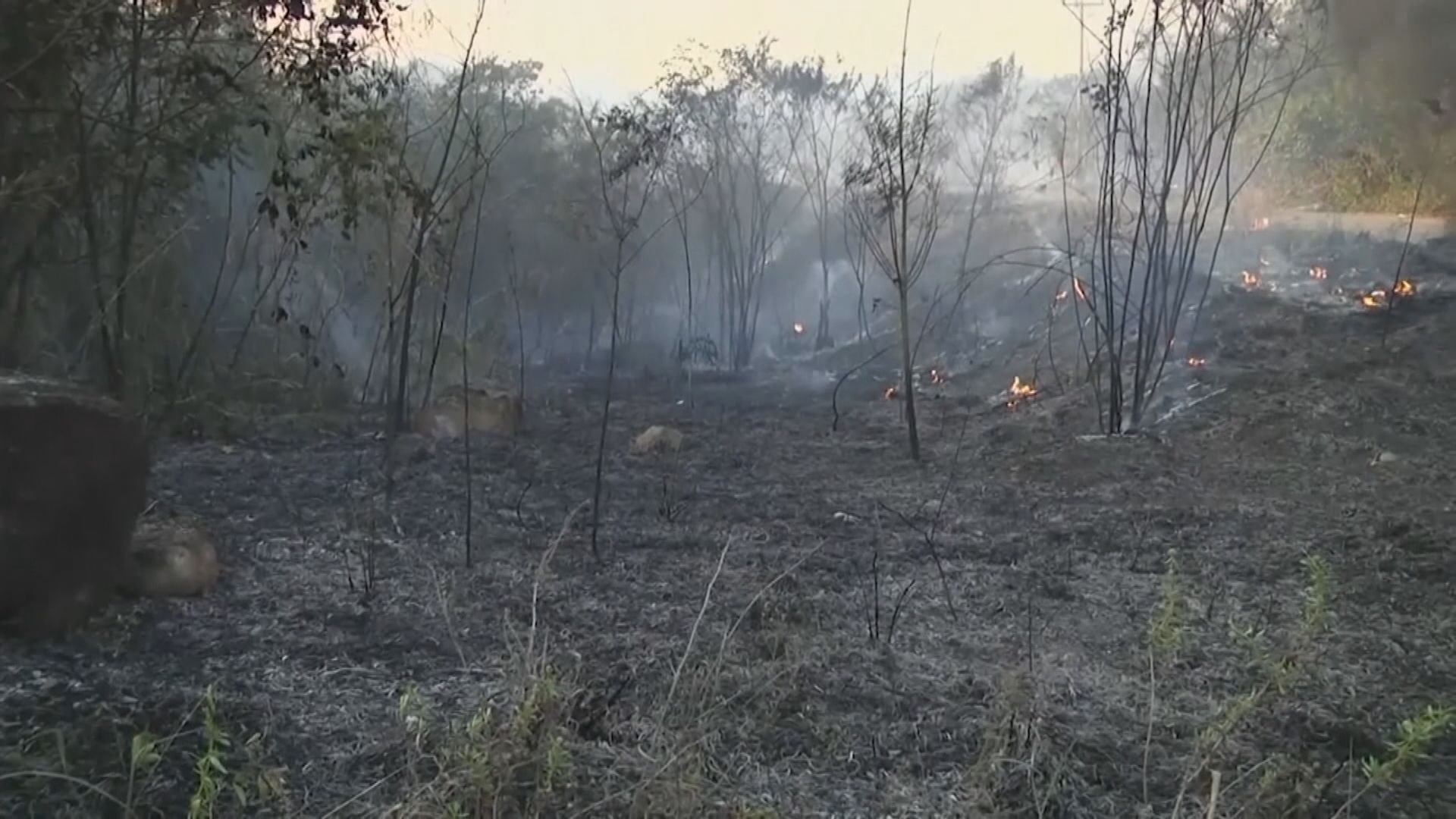亞馬遜森林大火持續大片林木遭焚毀