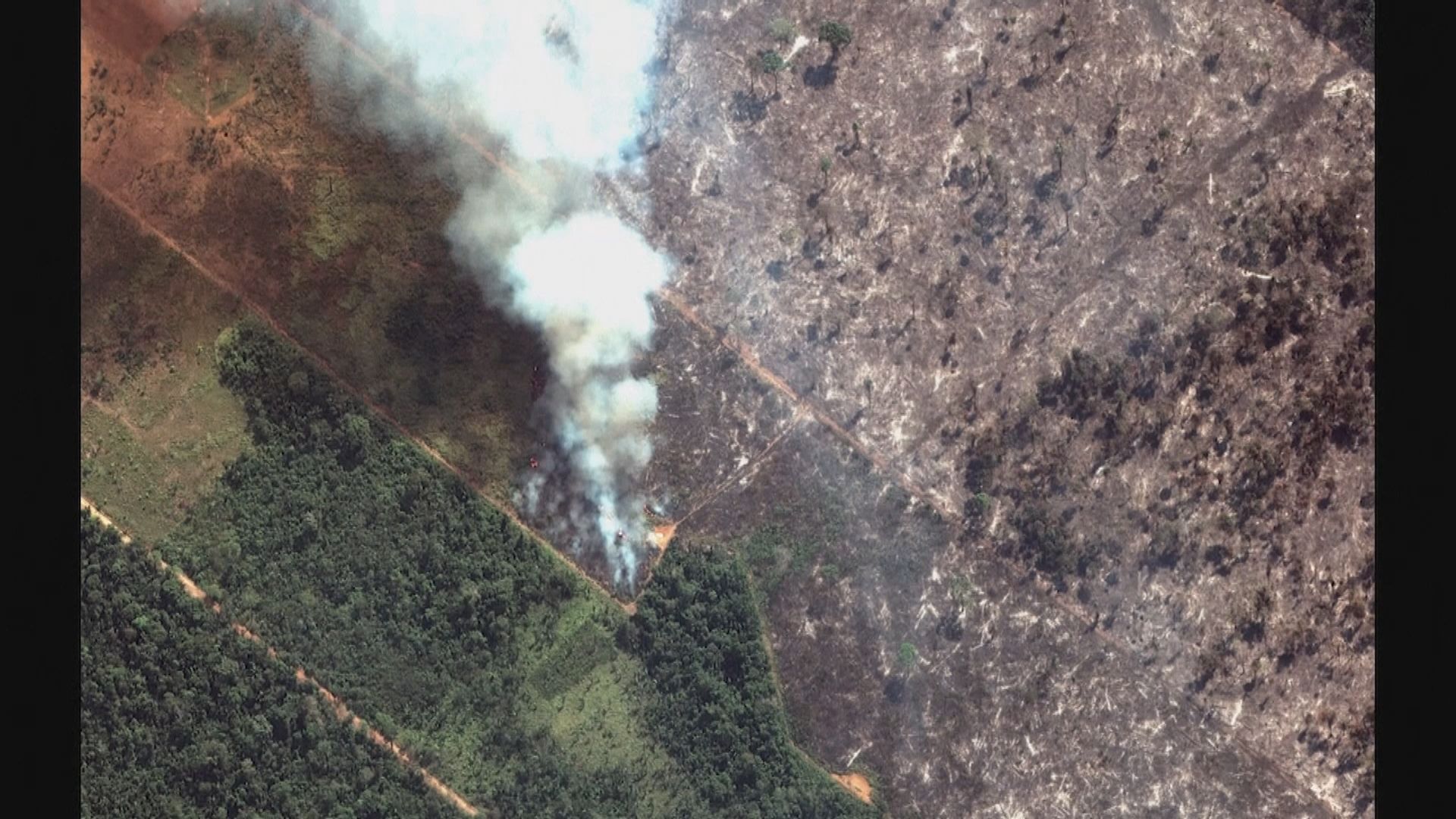 巴西亞馬遜雨林山火持續　政府民間互相指摘