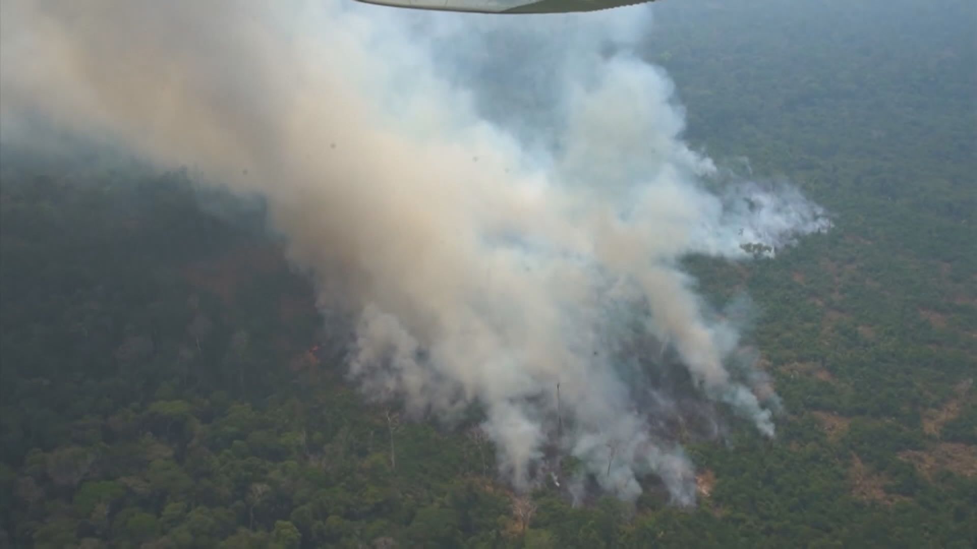 巴西總統宣布派軍隊協助救山火