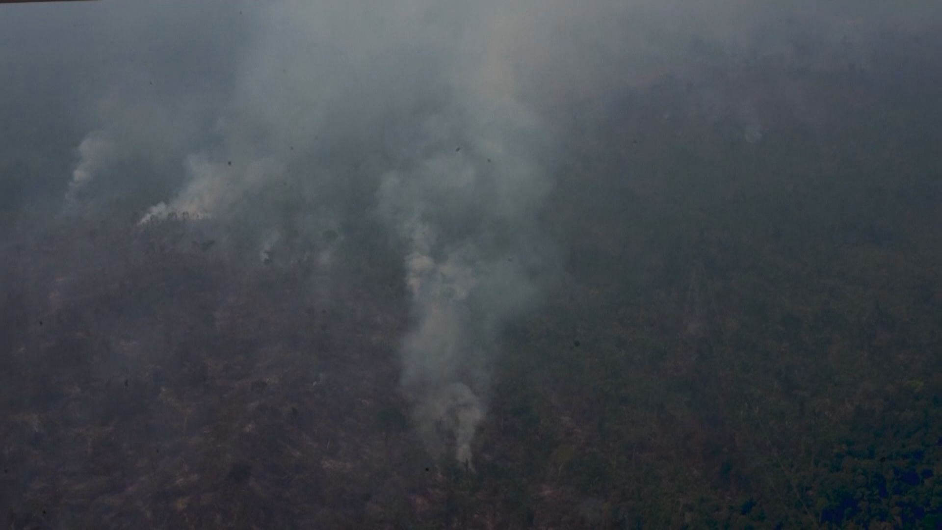巴西亞馬遜山火逾四萬軍隊助救火