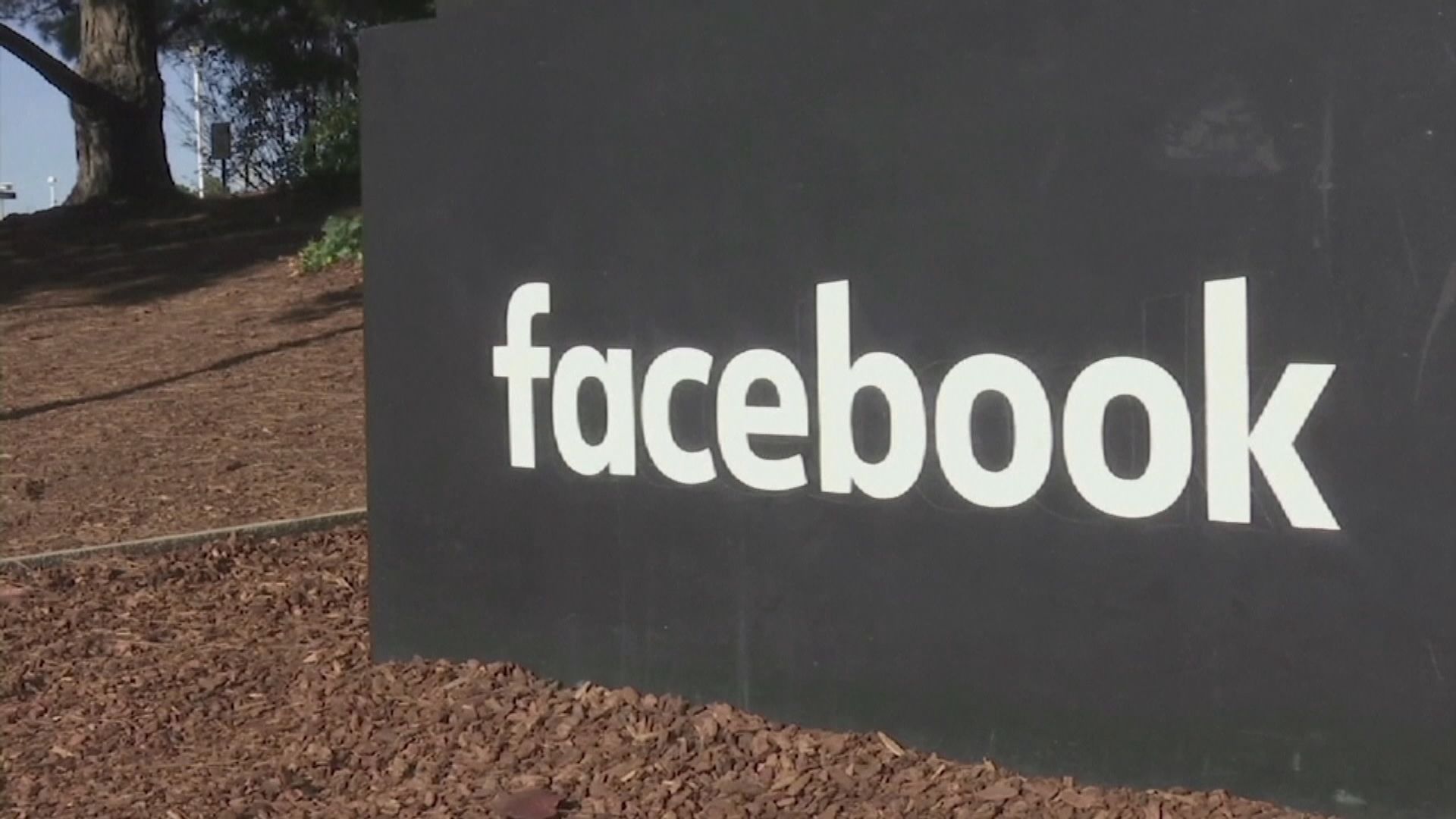 Facebook宣布全球封鎖十二名博索納羅支持者