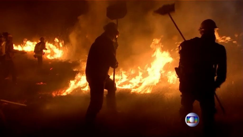 巴西山火焚毀四分一個國家公園