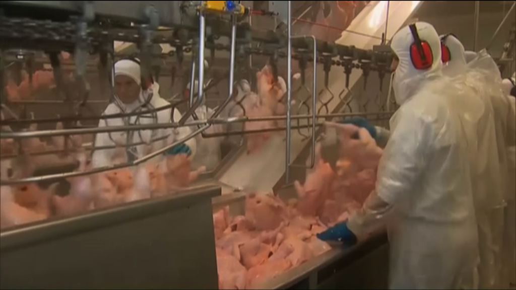 歐盟中國智利暫停進口巴西肉類