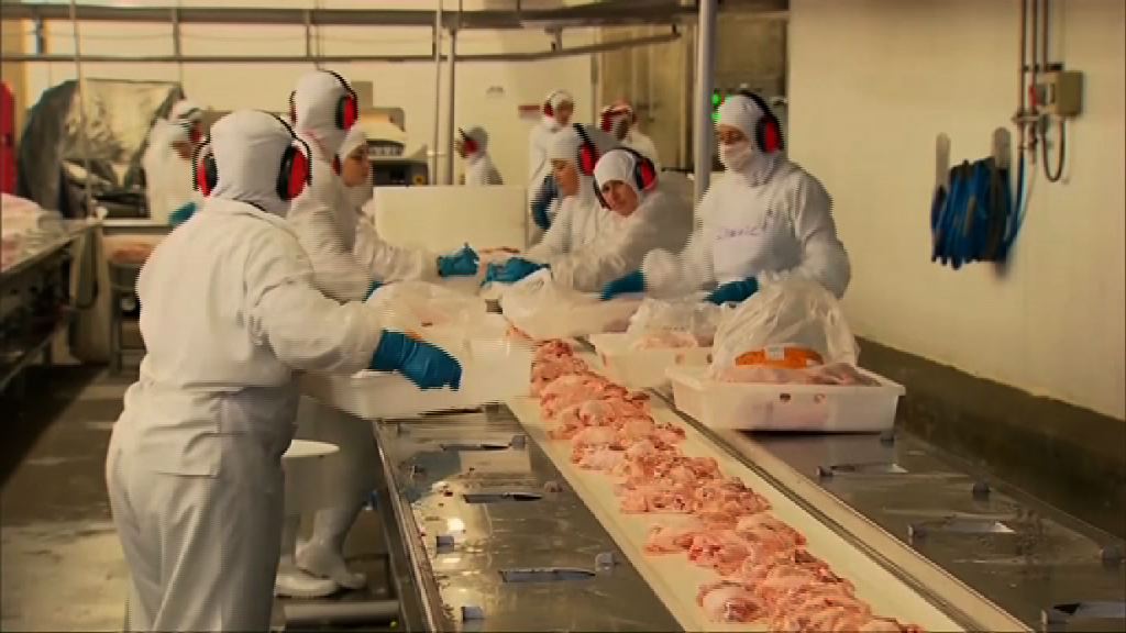 巴西禽肉出口商否認出售過期肉類產品