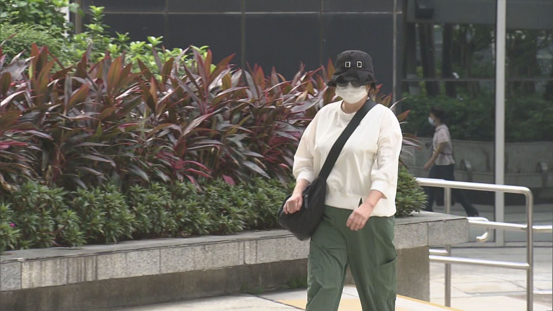 蔡天鳳前家姑涉妨礙司法公正　押後至9月底裁決