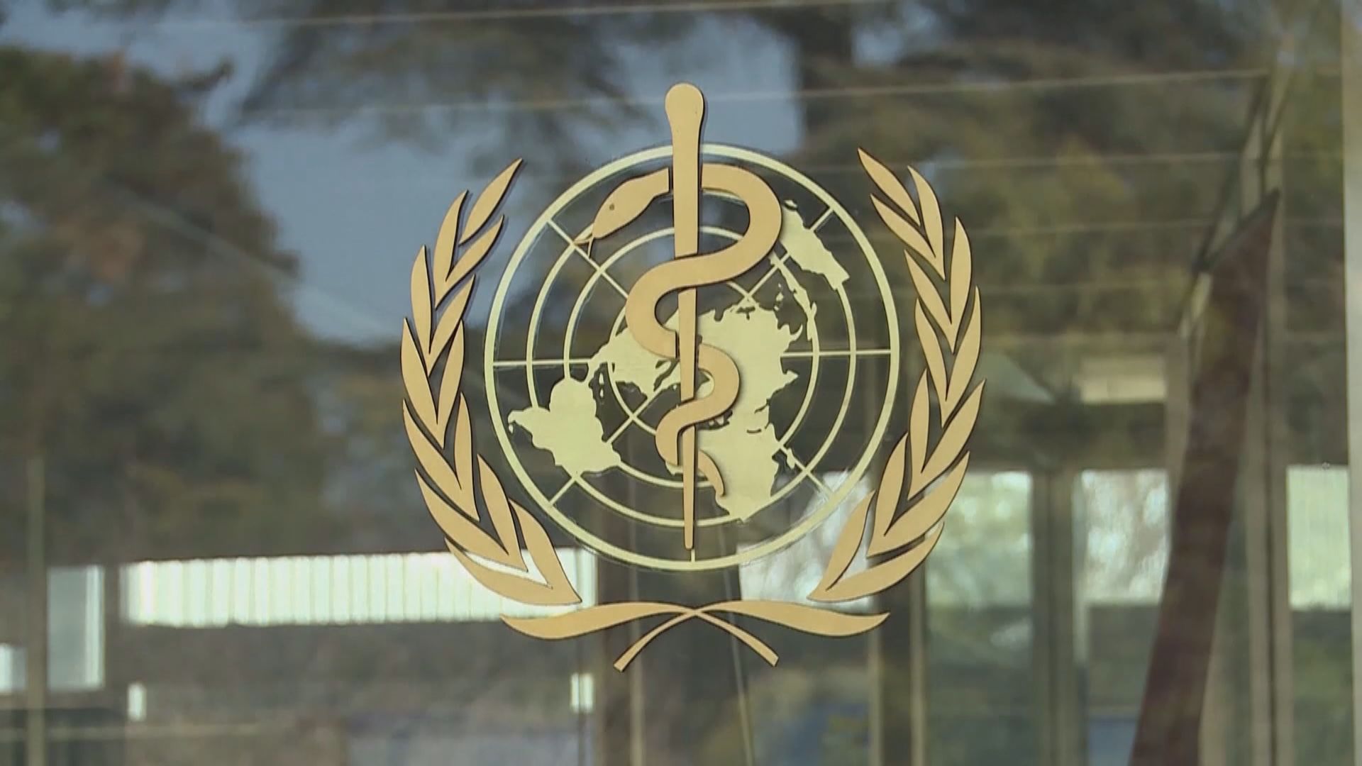 柬埔寨女童染H5N1禽流感死亡 　世衛稱未確定涉及人傳人