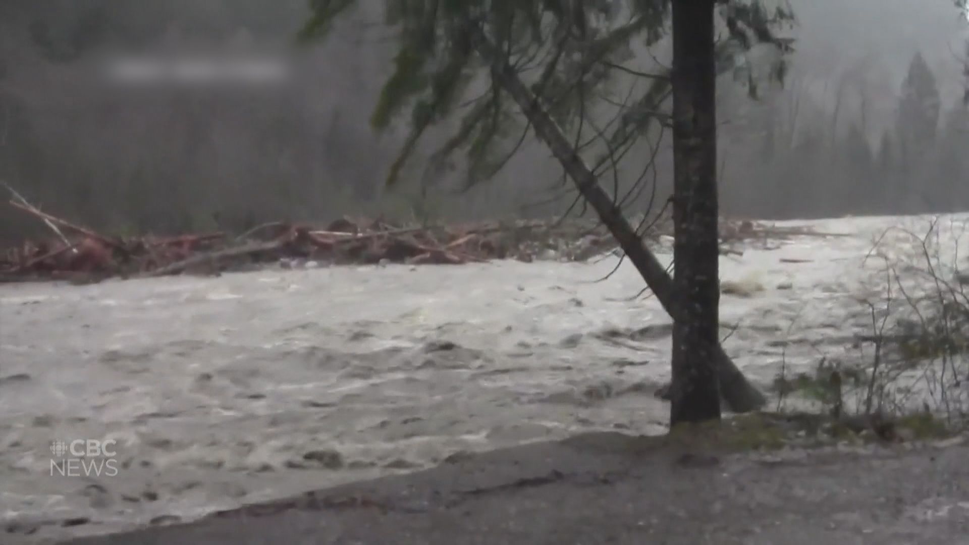 加拿大卑詩省暴雨成災　省長宣布進入緊急狀態