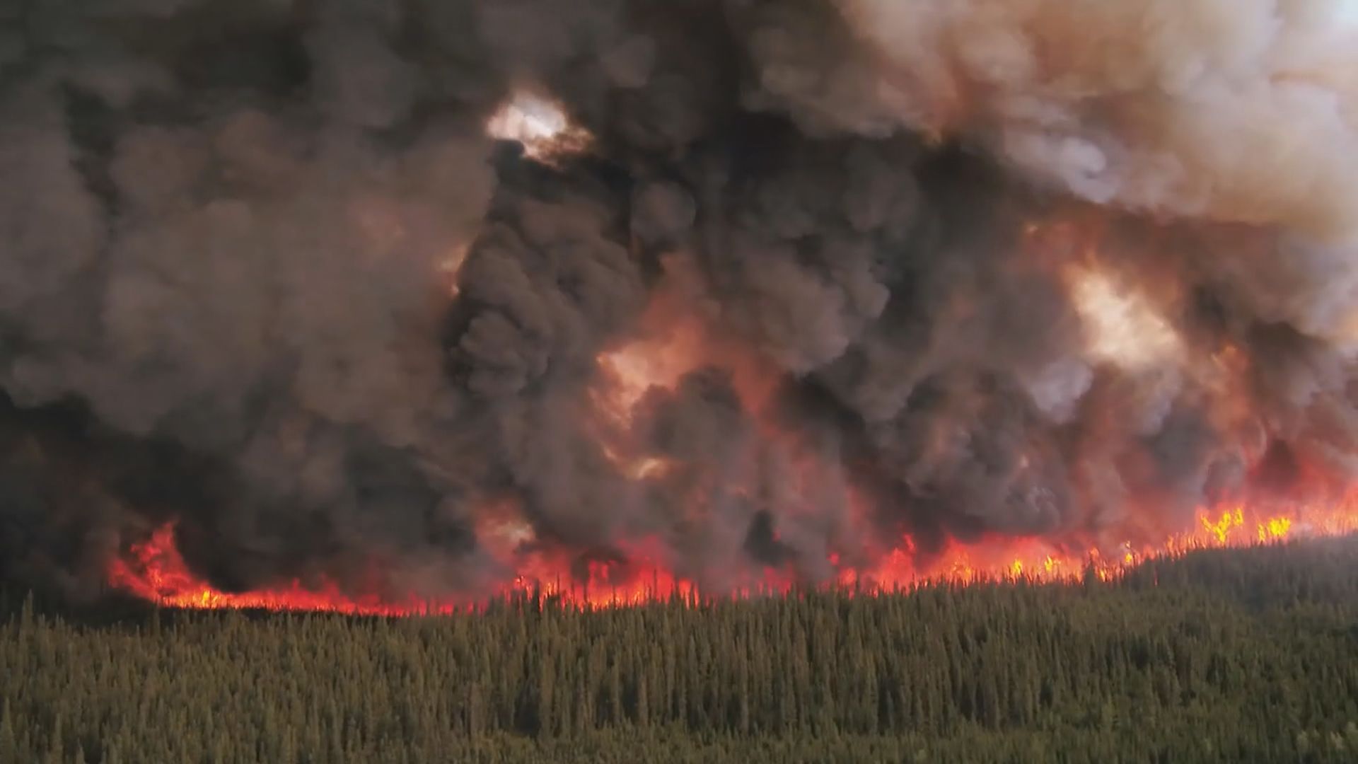 加拿大山火產生的煙霧令北美多地空氣質素嚴重污染 
