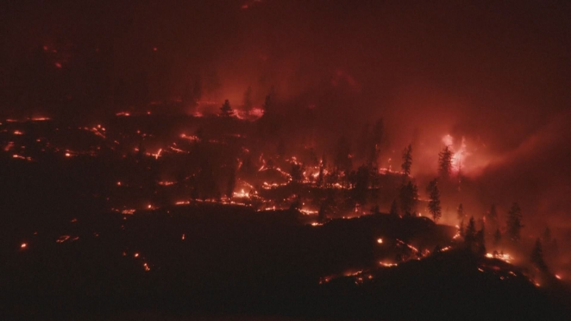 加拿大山火嚴峻 卑詩省6.5萬人被下令撤離或收撤離警報