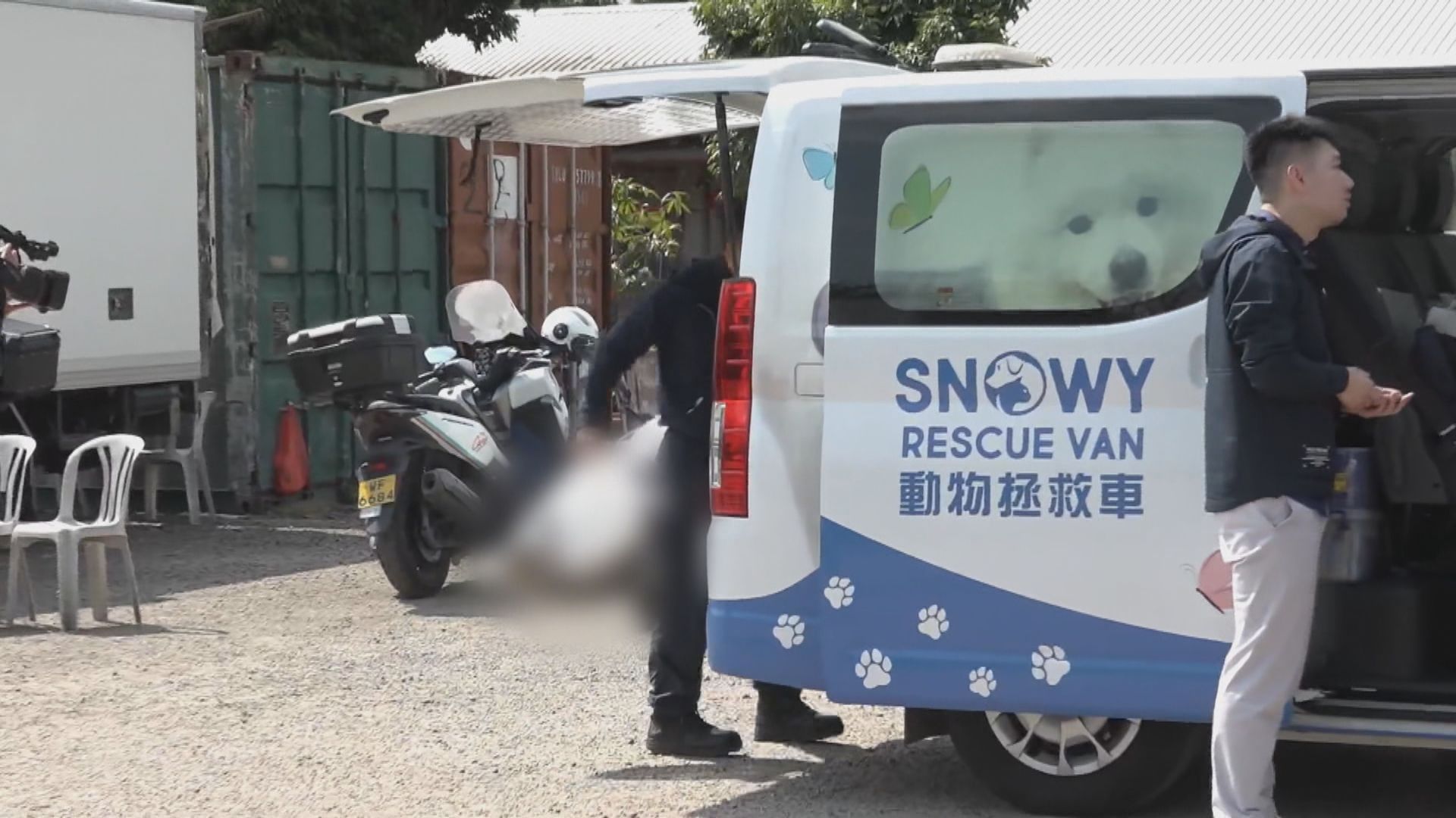 河上鄉貓屍被套布袋蒙頭　警方列虐待動物案