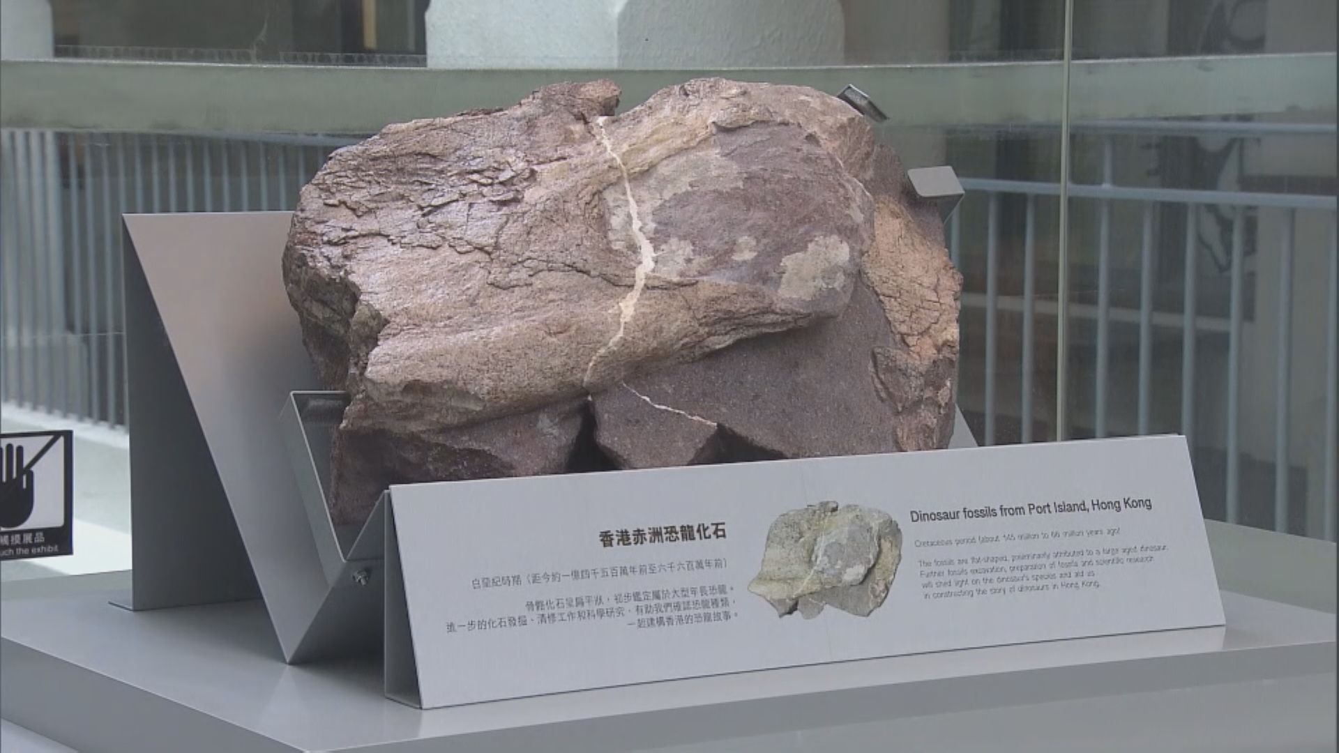 赤洲發現恐龍化石　李家超稱可藉機發展地質公園旅遊