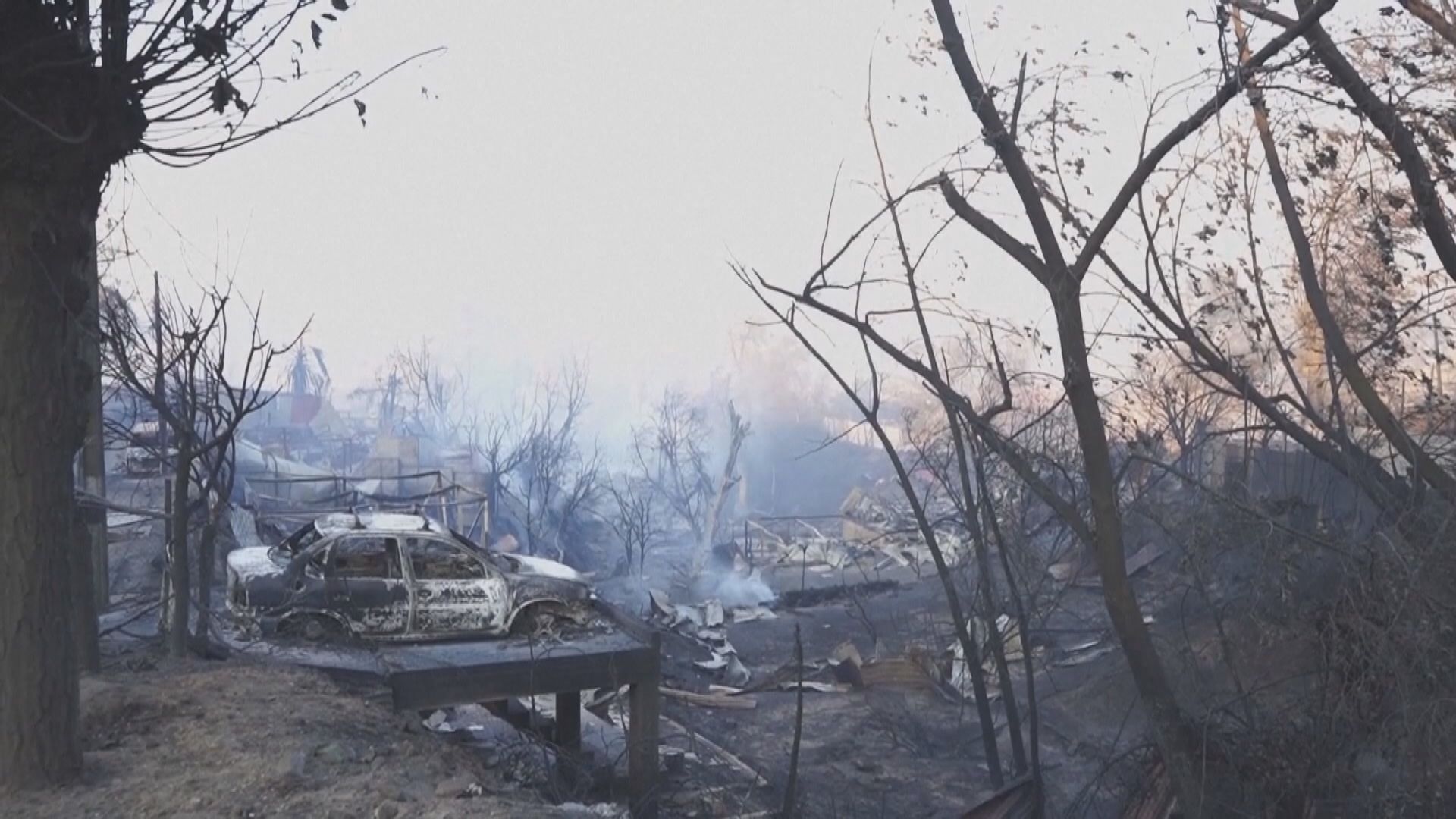 智利中部山林大火增至46人死亡 初步不排除有人蓄意縱火