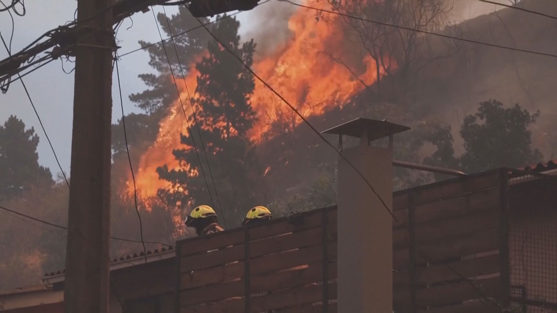 智利中部山林大火增至逾50死 仍有多人失蹤